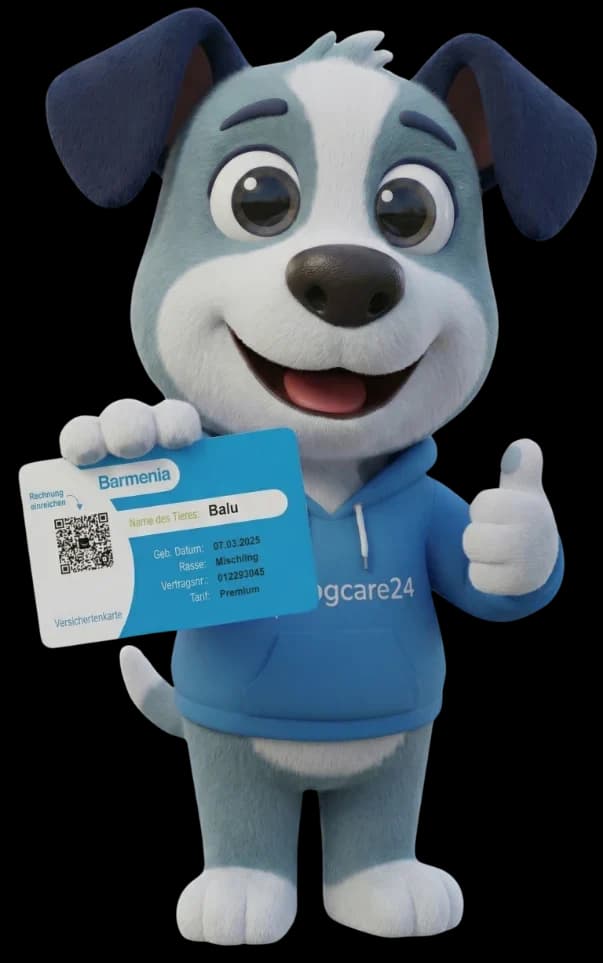 Balu, das Dogcare24-Maskottchen, zeigt die Versichertenkarte